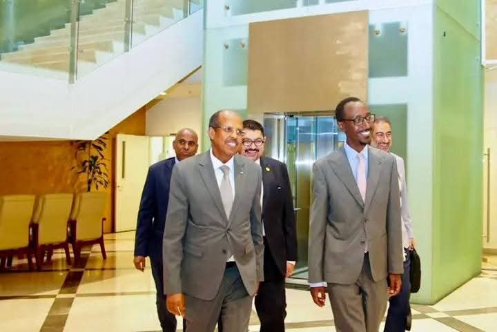 Mahmoud Ali Youssouf à Addis-Abeba pour prendre les commandes de la Commission de l’UA