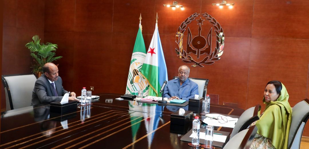 NEPAD : le Président Guelleh plaide pour un cadre plus efficace d’exécution des grands projets africains