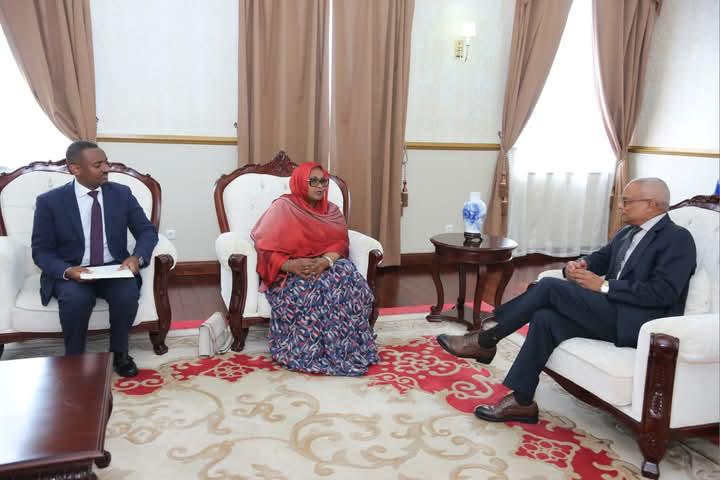La ministre Mouna Osman Aden, émissaire du chef de l’Etat, reçue par le président du Cap-Vert