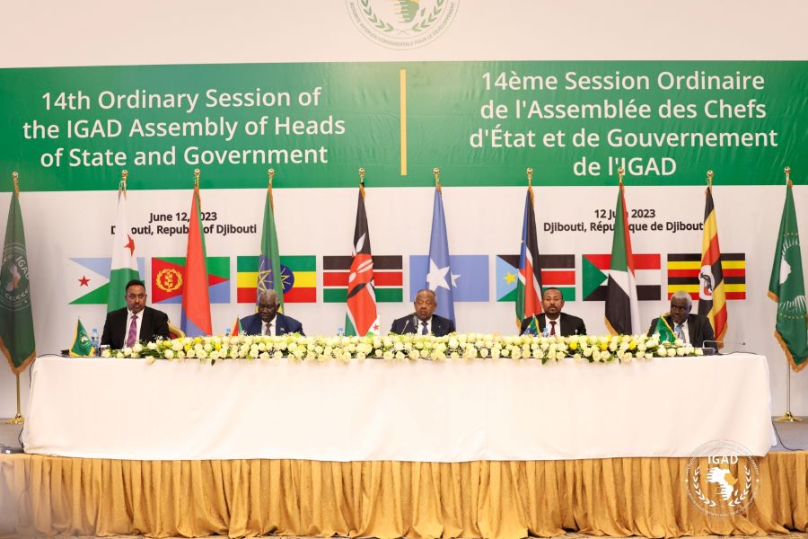 Ouverture à Djibouti du 14e Sommet ordinaire des chefs d’Etat et de gouvernement de l'Autorité Intergouvernementale sur le Développement (IGAD)