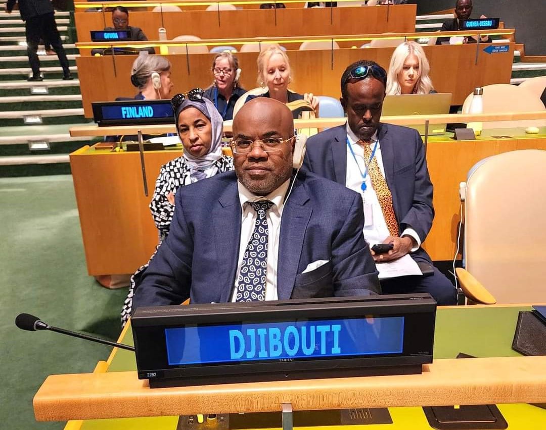 Djibouti élu membre du Conseil économique et social des Nations Unies (ECOSOC)