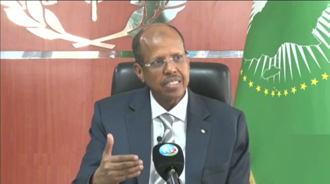 Mahmoud Ali Youssouf : "Djibouti est un pilier stratégique de la coopération sino-africaine"