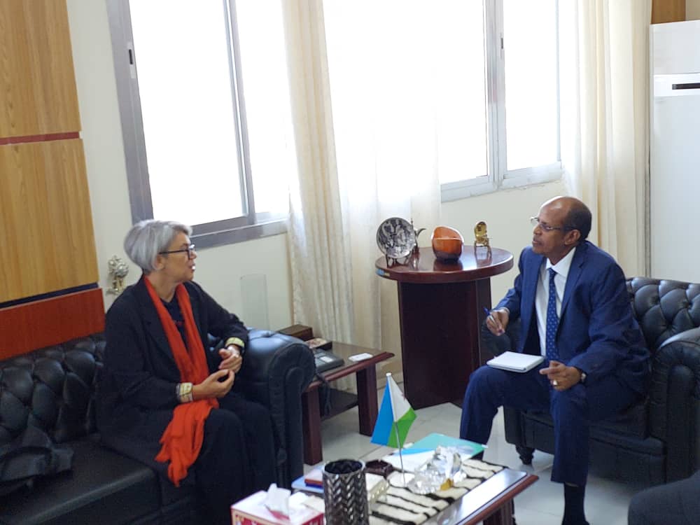 Le chef de la diplomatie reçoit l’envoyée spéciale de l’UE pour la Corne de l’Afrique
