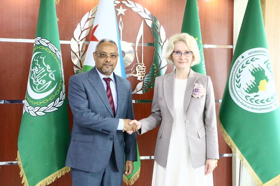 Ports, zones franches, diplomatie : la vice-présidente de la Douma sur tous les fronts à Djibouti