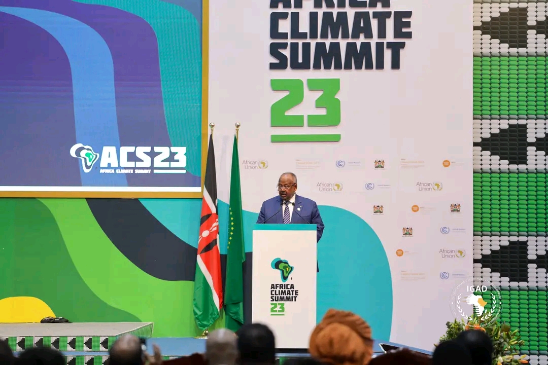 "Mon pays étant un pays désertique, sévèrement impacté par le changement climatique, l’économie bleue s’est imposée à nous", déclare le chef de l'Etat