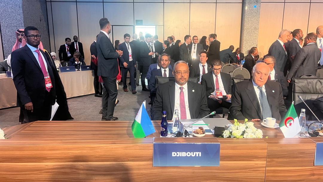 51e session du Conseil des ministres de l’OCI : Djibouti réaffirme son engagement pour la cause palestinienne