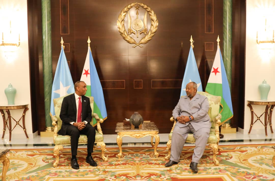 Le Président de la République reçoit le Premier Ministre somalien