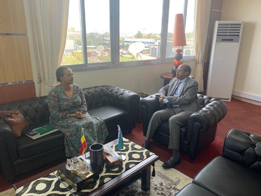 Entretien entre le chef de la Diplomatie et le Ministre délégué chargée de la Diaspora Éthiopien