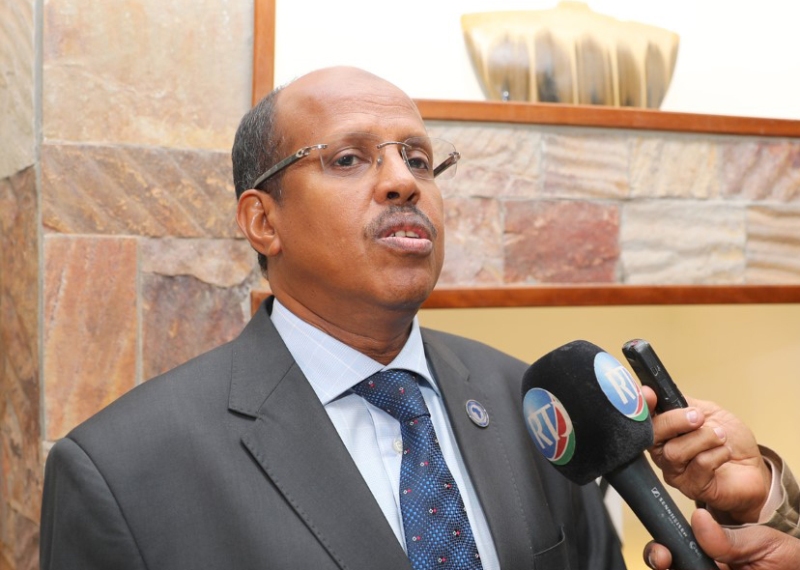 "La République de Djibouti et son grand voisin éthiopien ont fait le choix de rehausser le niveau de leurs échanges commerciaux", déclare le chef de la diplomatie djiboutienne