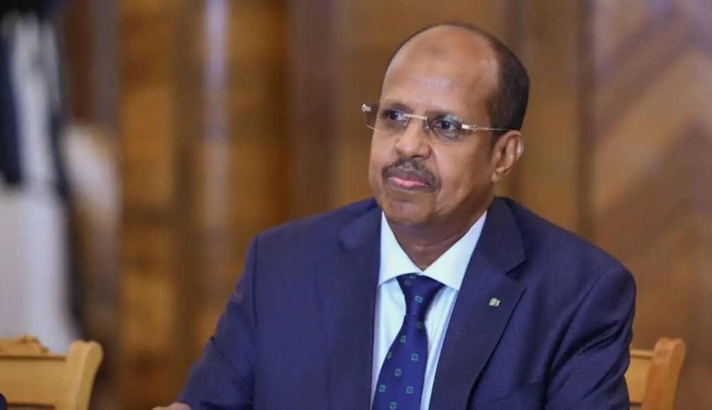 Mahmoud Ali Youssouf élu président de la Commission de l’Union africaine